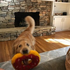 Meet your Posher, Leslie